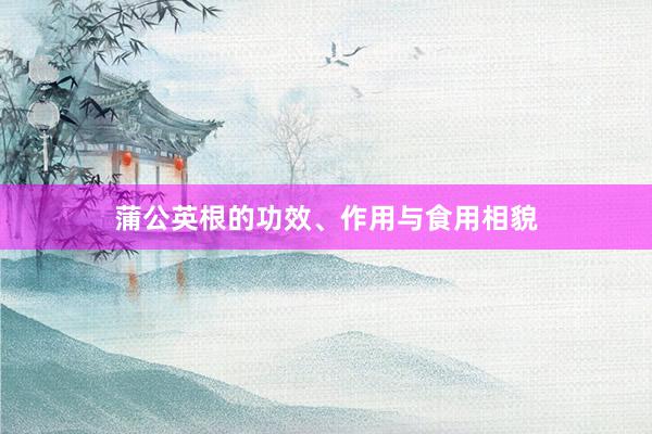 蒲公英根的功效、作用与食用相貌