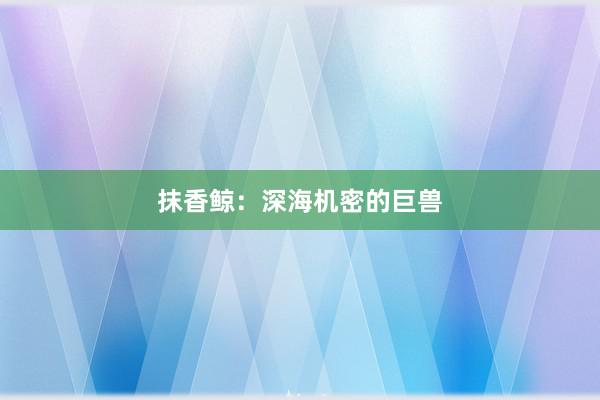 抹香鲸：深海机密的巨兽