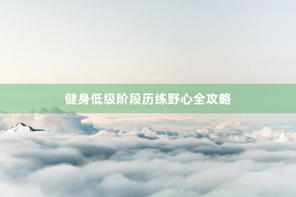 健身低级阶段历练野心全攻略